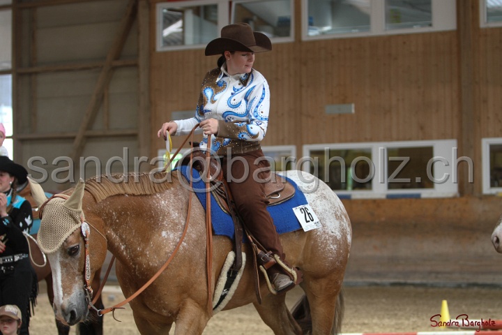 26-ApHC GT_251.jpg